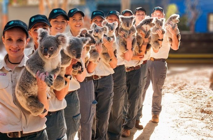 2017_GC_GoldCoast_ThemeParks_DreamworldKoalaGroupPhoto