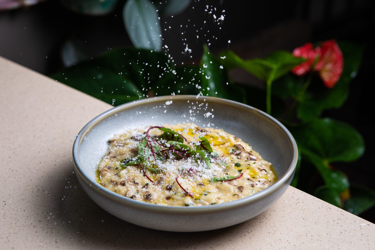 2019_BNE_Brisbane_RestaurantsAndCafes_@oliveandangelo.jpg