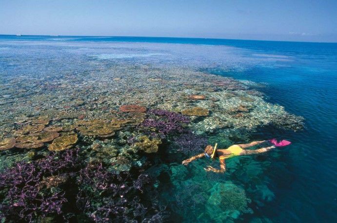 2019_WYS_HardyReef_DivingAndSnorkelling_104798