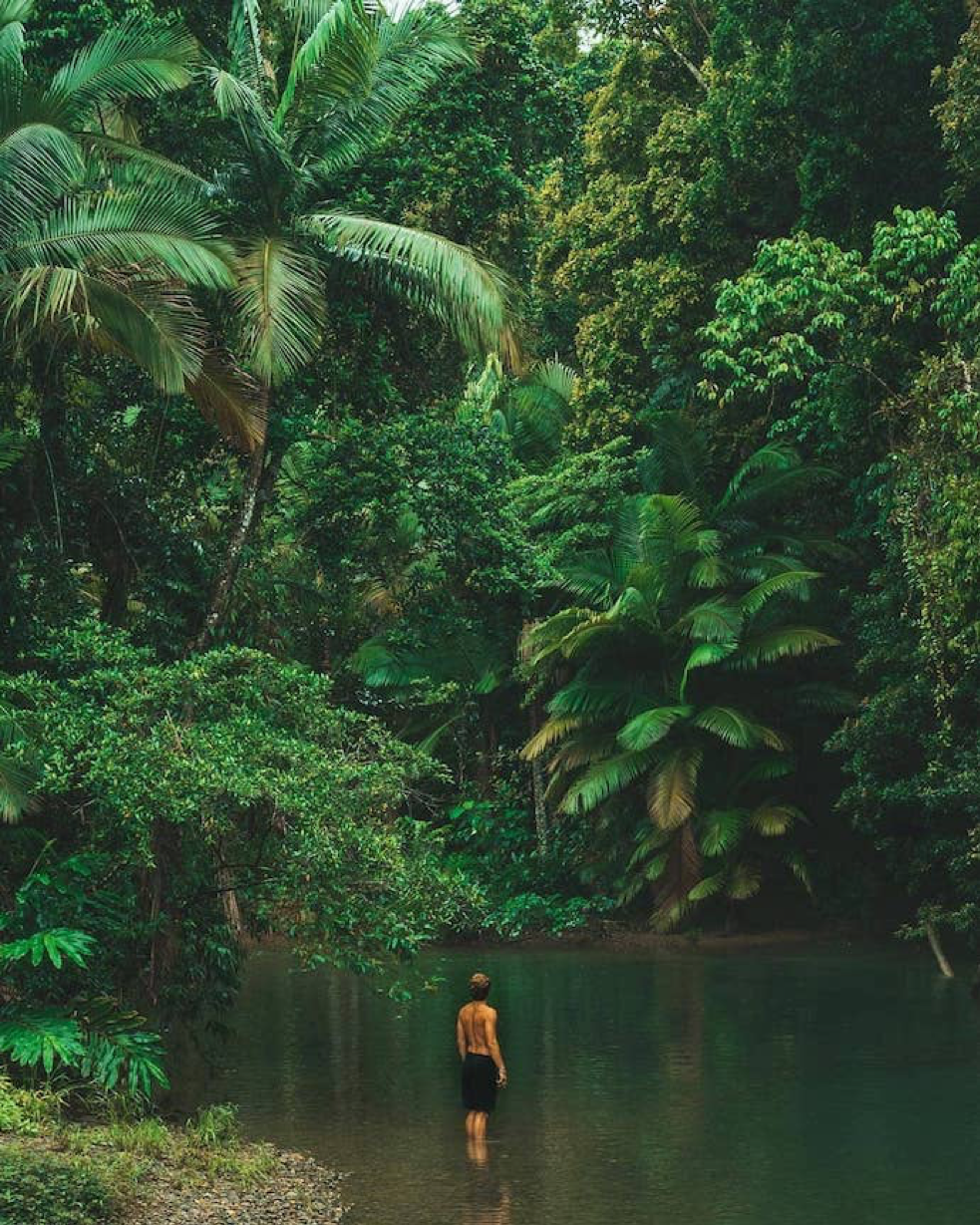 2020_TNQ_MossmanGorge_WaterfallsAndSwimmingHoles3