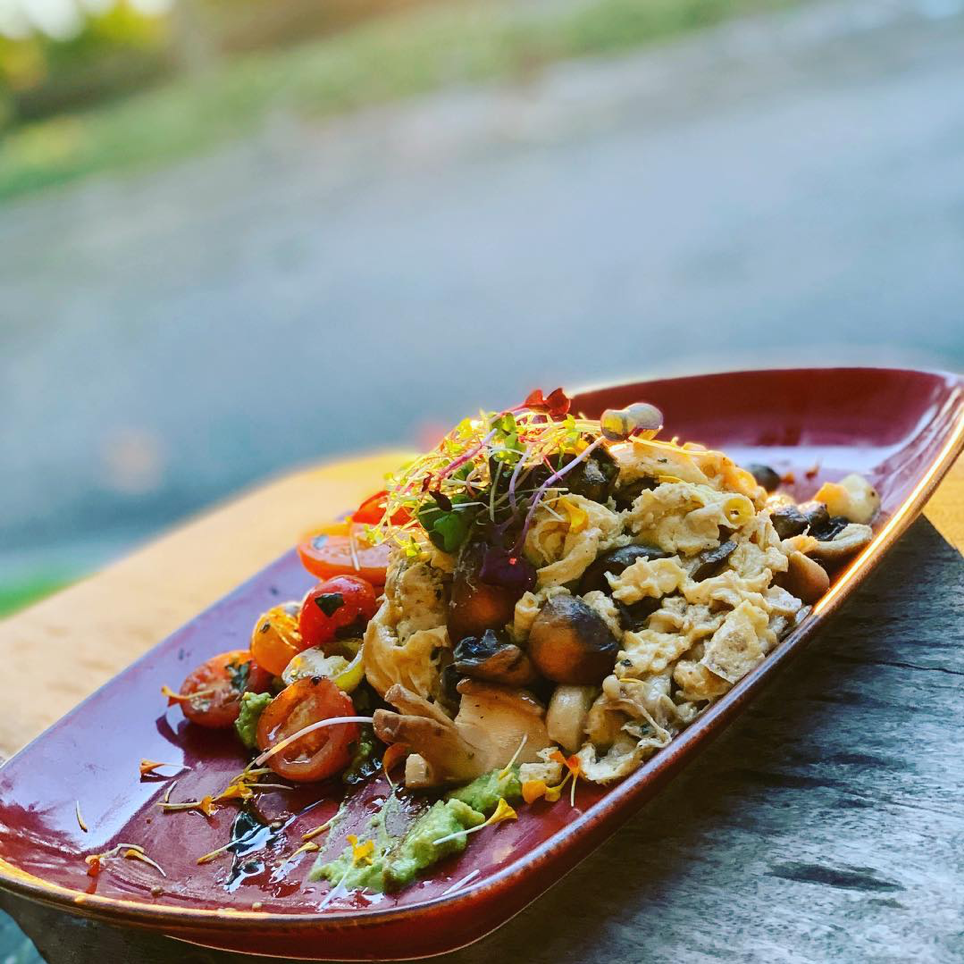 2020_TNQ_PalmCove_ChillCafe_FoodAndBeverage