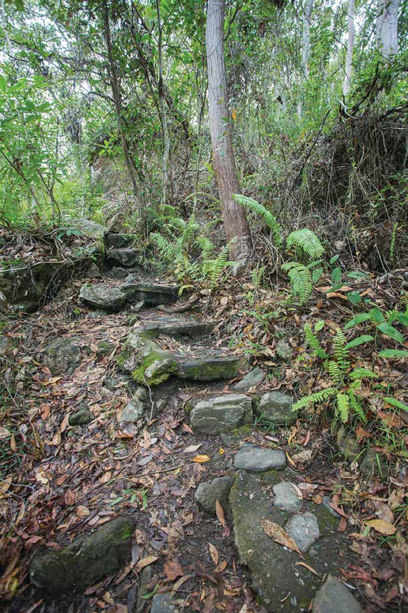 2020_WYS_Whitsundays_ConwayNationalPark_NationalParks_WalkingAndHiking